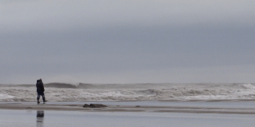 La Taula de Consens pel Delta exigeix ‘actuacions imminents’