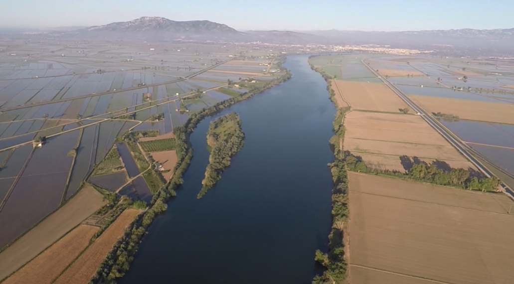 Naix el col·lectiu Think Tank Terres de l’Ebre