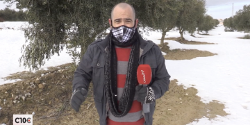 #10COMARQUES: L’afectació del temporal Filomena a les oliveres