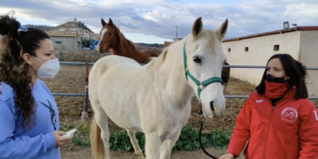 De la quadra al circuit de Sant Antoni d’Ascó