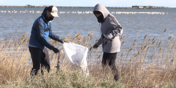 Una cinquantena de persones acudeixen a una neteja popular al Delta