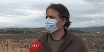 Les nevades del Filomena erradiquen el cuc del raïm