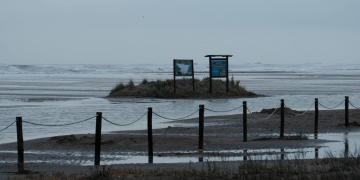 S’obre a consulta pública el Pla de Protecció del delta de l’Ebre