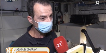 #BenTrobats – L’IRTA desenvolupa el cultiu de cloïsses en  arrossars de les badies del delta de l’Ebre