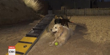 #10COMARQUES: L’ametlla de Mar habilita una zona d’esbarjo per a gossos