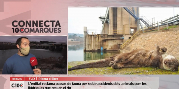 10COMARQUES: El Grup de Natura Freixe reclama passos de fauna a l’embasament de Flix
