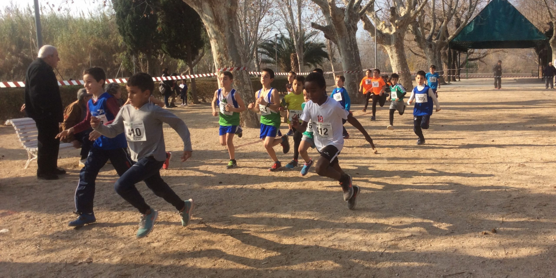 Els consells esportius denuncien la ‘discriminació’ que pateixen  del Procicat