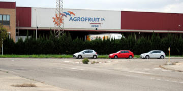 Condemnat a 27 mesos de presó i multa l’exdirector general d’Agrofruit per falsedat documental