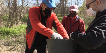 Voluntaris i voluntàries realitzen una neteja ambiental de la platja de la Xiquina de Tortosa