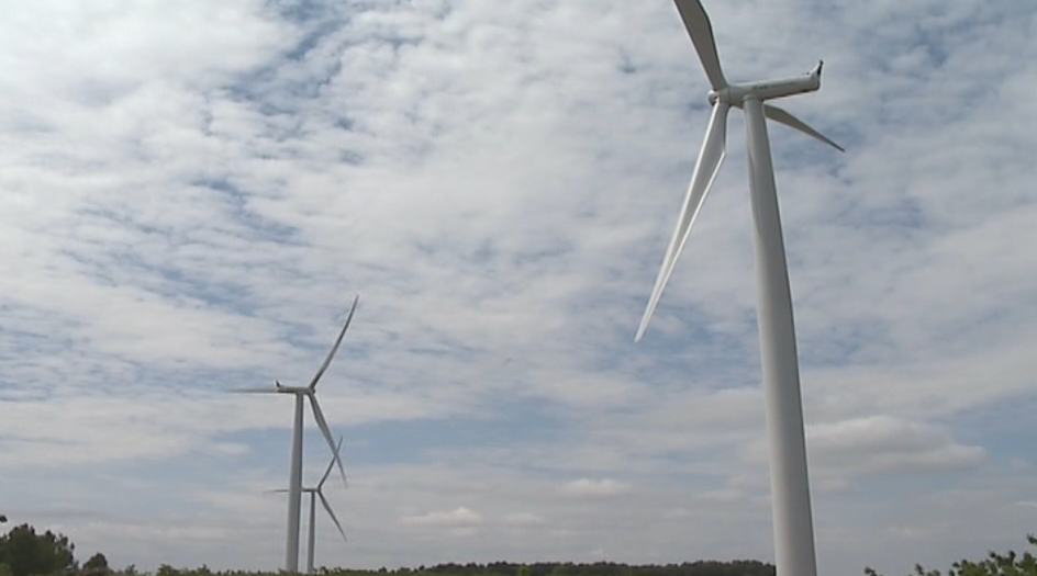 EolicCAT demanarà al nou govern que siga més valent amb la transició energètica