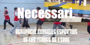 Els consells esportius de l’Ebre engeguen una campanya per fomentar l’esport en edat escolar