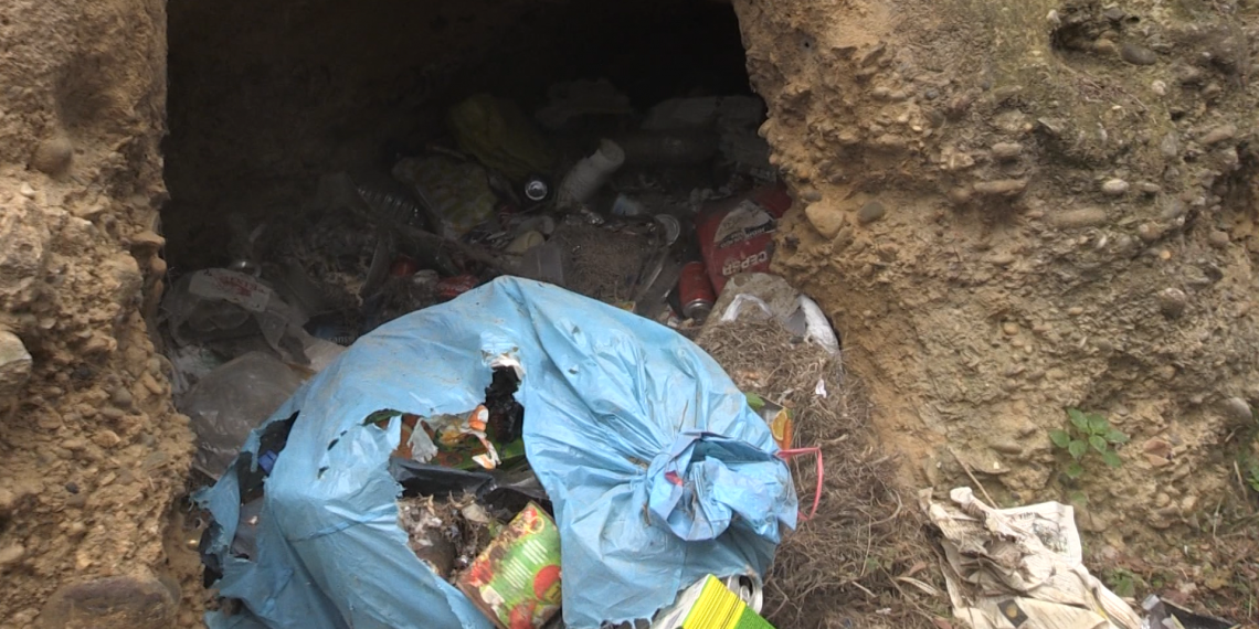 Miravet i Ginestar participen en la retirada de brossa i deixalles vora l’Ebre