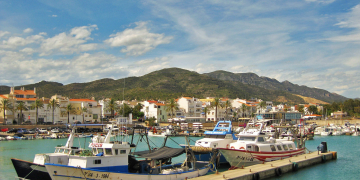 Demanen presó per a un home acusat de desatendre gossos, aviram i una cabra a Alcanar