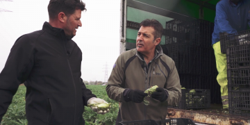 #02 El Baix Llobregat