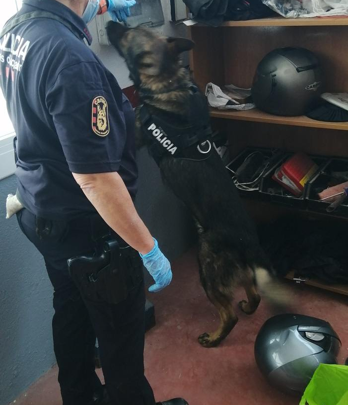 Ingressa a presó un veí de Móra d’Ebre per vendre drogues des del seu domicili