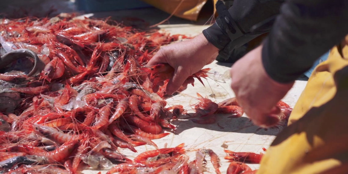 #04 El Baix Empordà