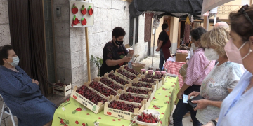 Edició semiconfinada de la XVIII Festa de la Cirera a Paüls