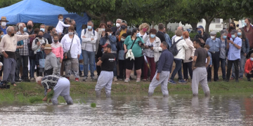 Amposta torna a celebrar la tradicional Festa de la Plantada de l’arròs