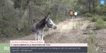 #FETAMIDA: Els ‘pastors de foc’ contribueixen en la prevenció d’incendis