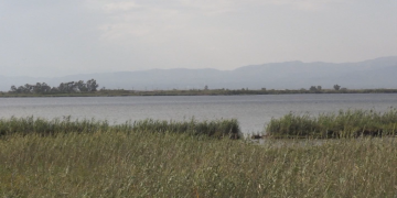 Espanya confirma que l’Estat reactiva la comissió de gestió de la finca Bombita