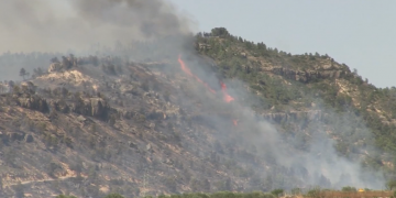 Rebrotem reparteix els segon torn d’ajuts als afectats per l’incendi de la Ribera d’Ebre