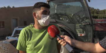 La Palma d’Ebre es recupera de l’incendi dos anys després i els pagesos tornaran a collir