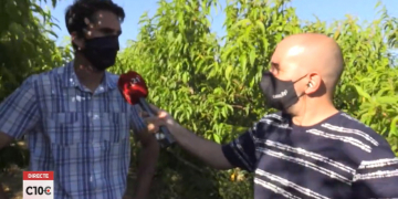 Inici de la collita de fruita dolça a la Ribera d’Ebre