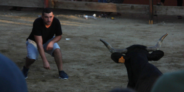 Els antitaurins de Tots Som Poble d’Amposta lamenten que les administracions segueixen promovent els correbous