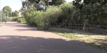 Movem Tortosa aposta per recuperar l’antic Camí de Sirga de Ferreries a Jesús