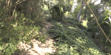 Junts per Tortosa reivindica el projecte del Camí de Sirga entre Ferreries i Jesús