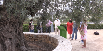 La Taula del Sénia senyalitza cinc noves àrees d’oliveres mil·lenàries a l’Ebre