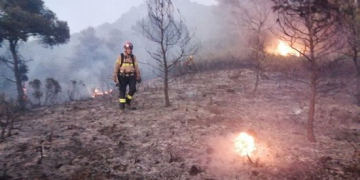 Extingit l’incendi forestal de Móra d’Ebre, que ha afectat unes 4 hectàrees