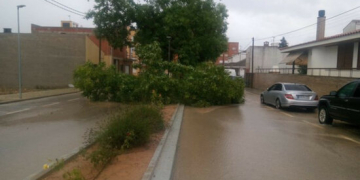 Tempestes fortes i calamarsa en alguns punts de les Terres de l’Ebre