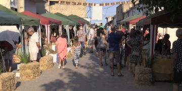 Torna la Fira de Fibres Vegetals al Mas de Barberans de forma adaptada