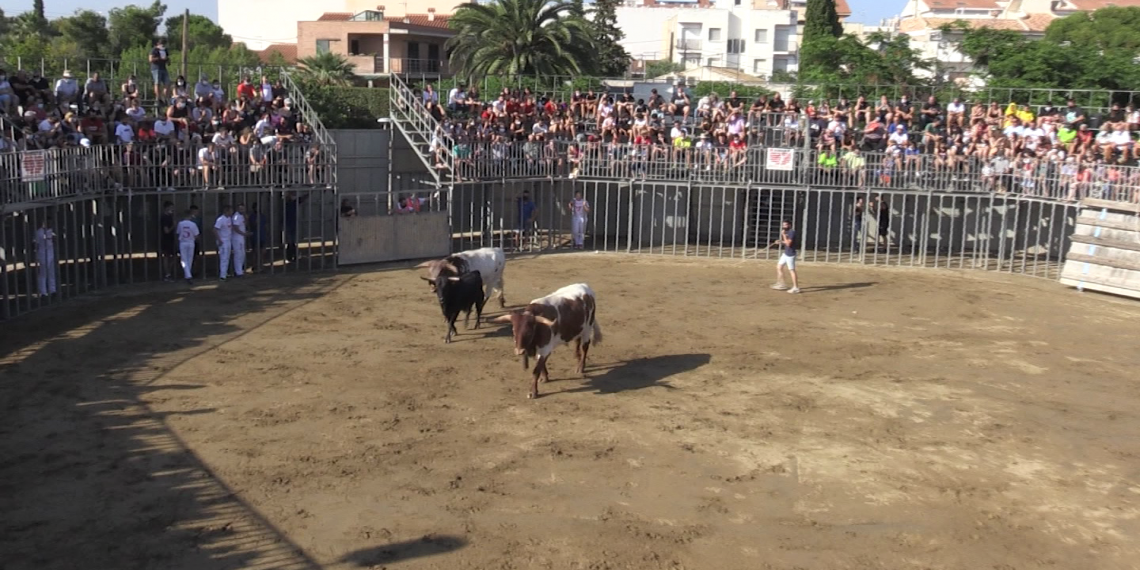 Denuncien que la Generalitat permet els correbous tot i l’elevat risc de contagi