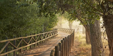 Itinerari sonor i musical pel paisatge del bosc de ribera al camí de sirga d’Amposta