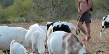 L’ofici de pastor protagonitzarà les III Jornades d’Oficis i Arquitectura Tradicional als Ports, a Horta de Sant Joan