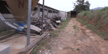 Moren ofegats 20.000 pollastres d’una granja d’Ulldecona pels aiguats