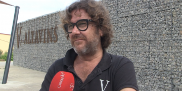 La DO Terra Alta preveu una verema amb una qualitat ‘extraordinària’