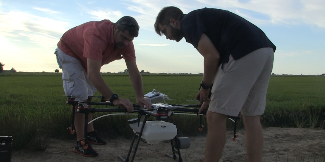 Els pagesos del Delta integren la tecnologia drone per fumigar els camps