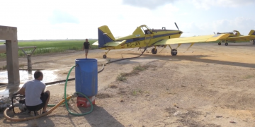 El COPATE implantarà el producte BTI per la lluita contra el mosquit al Delta