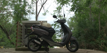 Progat inicia una recollida de signatures perquè El Corralet deixi de gestionar la gossera