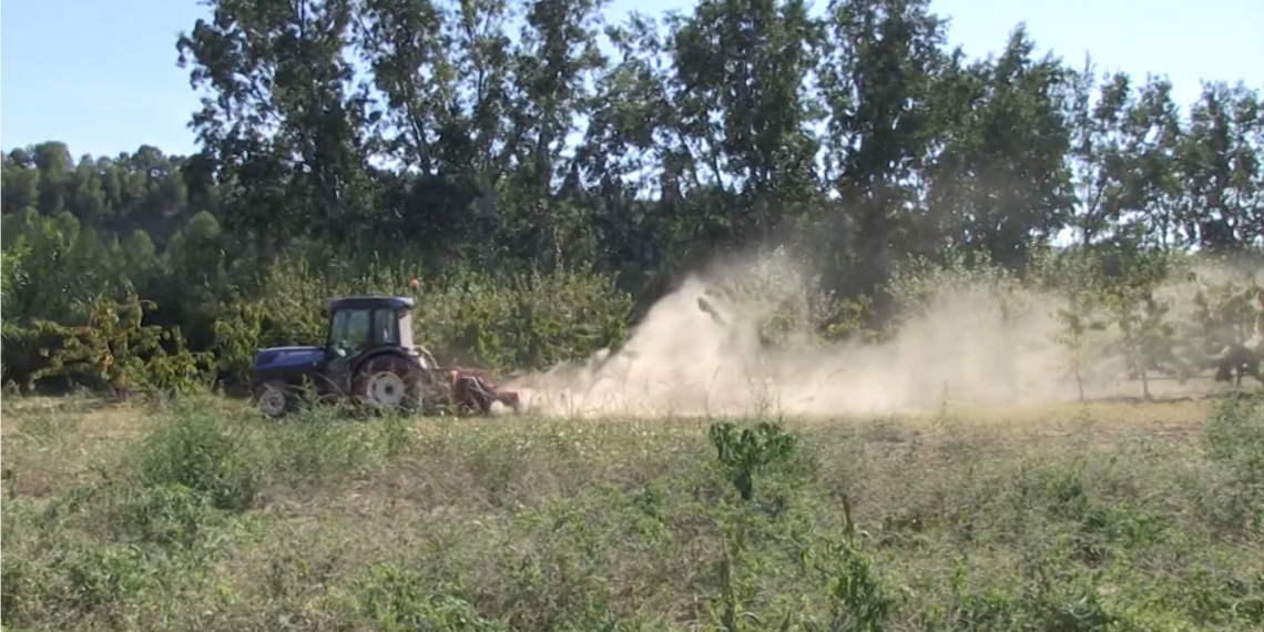 Agricultors alerten que hauran de retallar en collites per pal·liar l’augment dels costos de producció