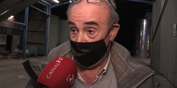 El sector de l’oli d’oliva preveu un augment de producció del 20% al Montsià i Baix Ebre