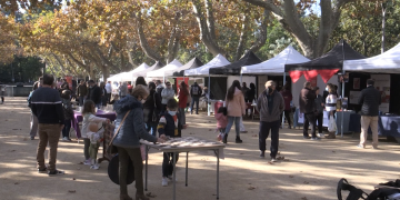 Tortosa recupera la Festa de les Entitats Socials amb més d’una vintena d’associacions