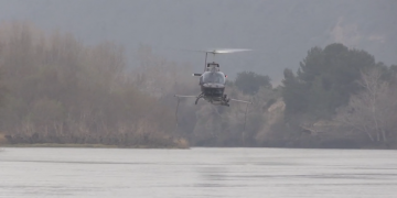 El COPATE constata l’efectivitat de començar els tractaments contra la mosca negra a principis d’any