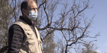 El Gepec compra una finca a Ulldecona per protegir les oliveres monumentals