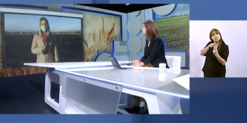 NEX Matí: La vigilància fa disminuir els robatoris als camps de l’Aldea