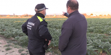 La vigilància acaba amb els robatoris als camps de l’Aldea