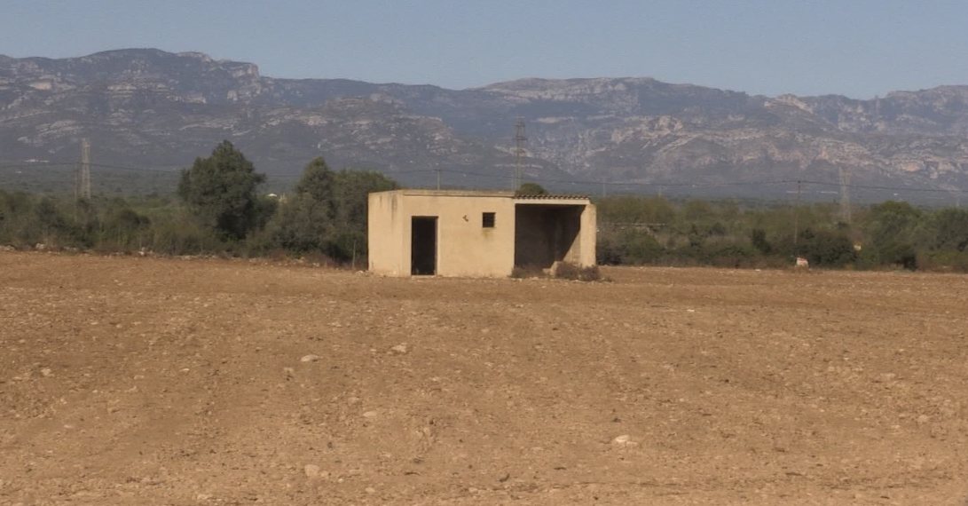 Ulldecona reimpulsa de nou el Banc de Terres